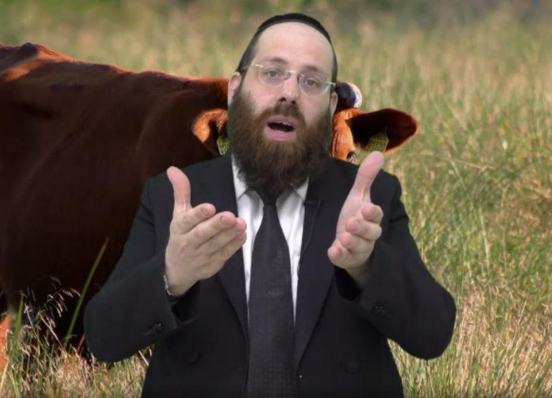 פרשת חוקת - יהודי זה כמו קאדילק!! הרב יוסף שושן