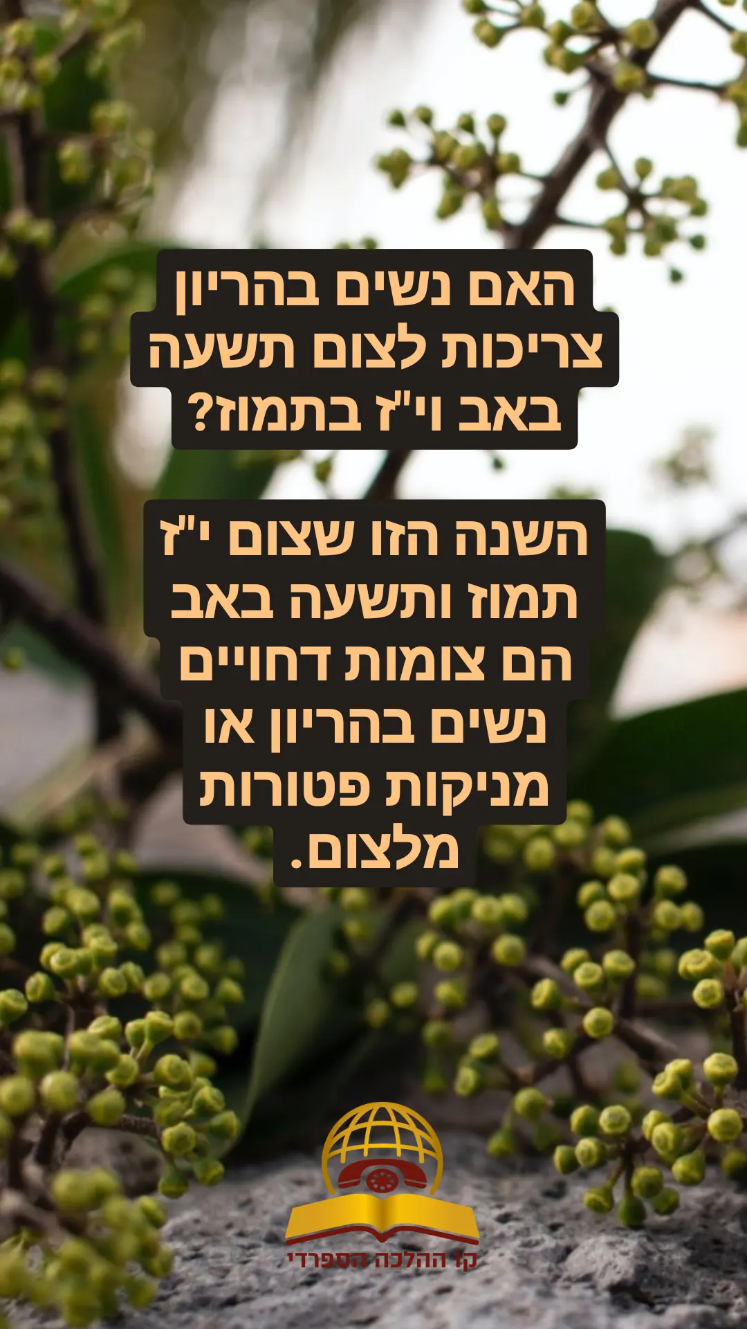 האם נשים בהריון צריכות לצום תשעה באב וי