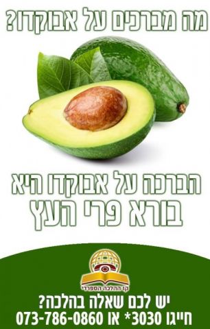 מה מברכים על אבוקדו?
