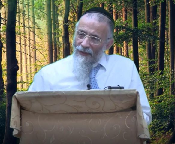 היצר הרע החיצוני והיצר הרע הפנימי - הרב מיכאל לסרי בהסבר עמוק