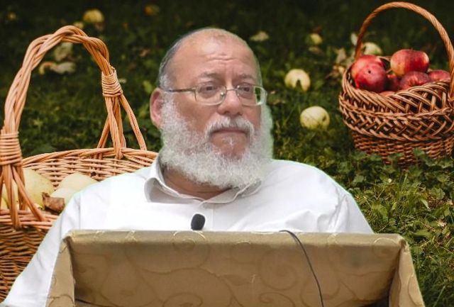 פרפראות לפרשת כי תבוא תשפ"ה - הרב חזקיהו קרלנשטיין  