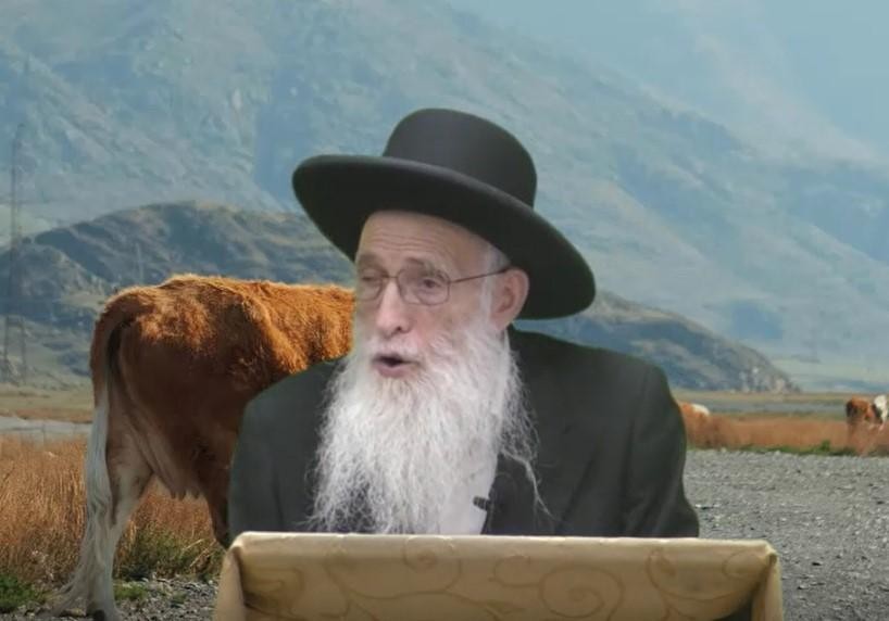 פרשת חוקת תשפ"ד - כיבוד אב ואם ומצות פרה אדומה - הרב יהודה יוספי