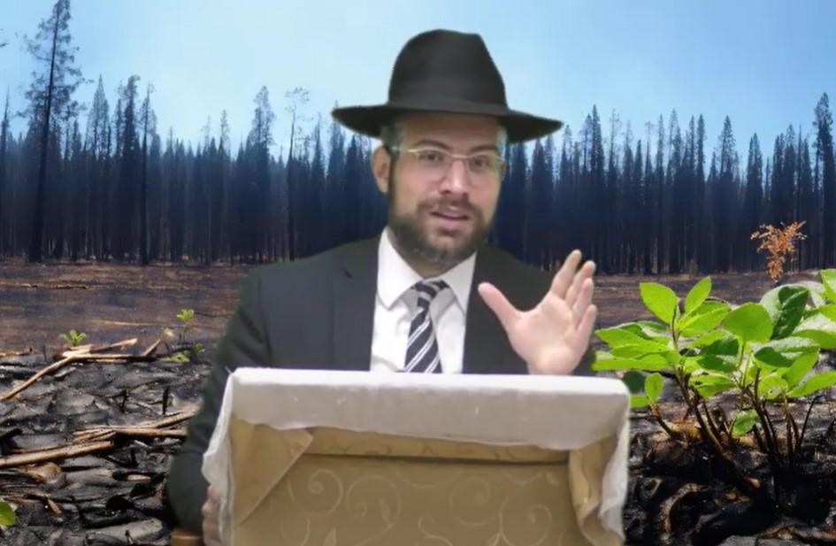 לקראת תשעה באב מגבית אהבת ישראל!!  הרב אריה שיינפלד