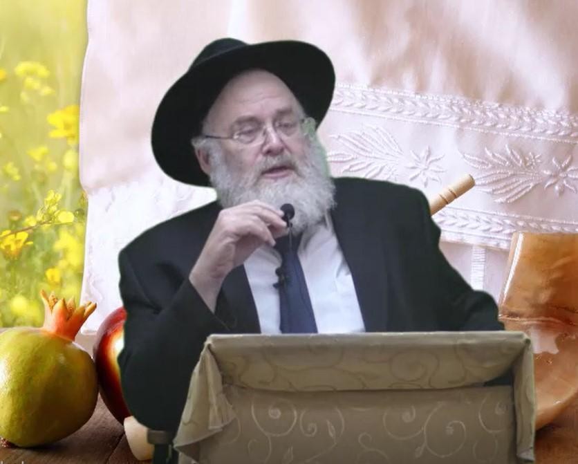 40 יום של הימים הנוראים הם לידה מחודשת - הרב מנחם שטיין
