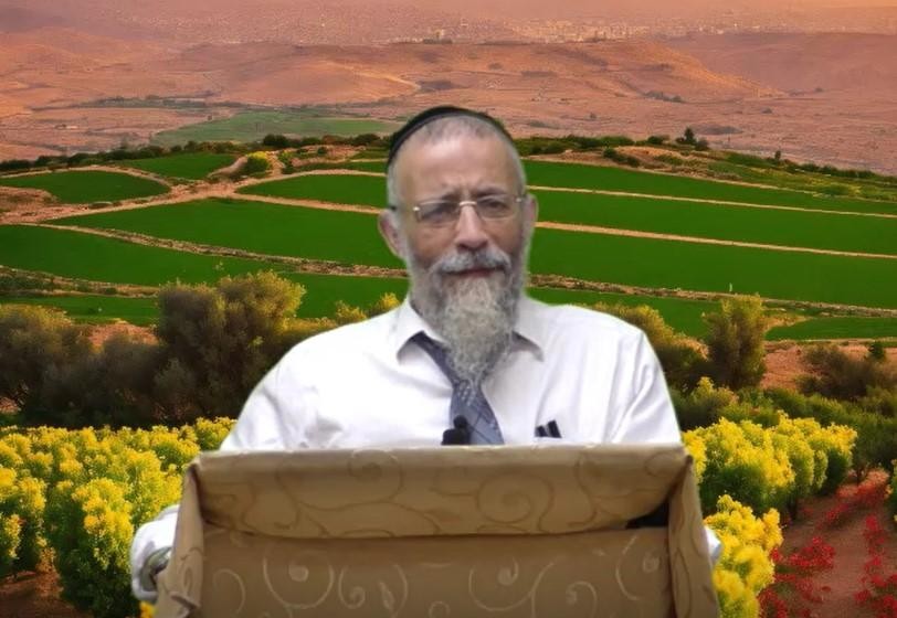 מדוע עם ישראל פחד כל כך להכנס לארץ? הרב מיכאל לסרי