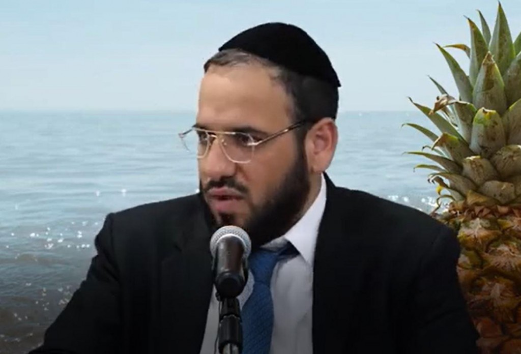 למה הרב דוד פריוף קנה אננס אחד ב-150 שקל ומה קרה בשוק- סיפור לא יאמן!