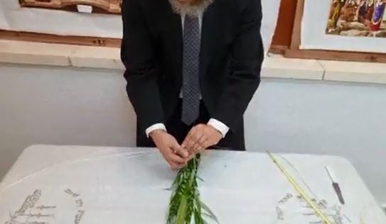 איך אוגדים את הלולב - הרב ירון אשכנזי מסביר