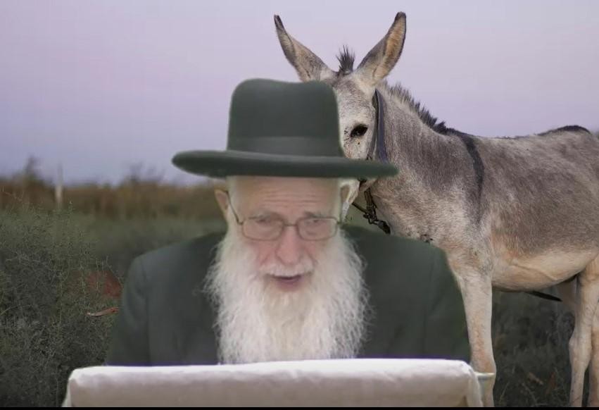 מה היתה סופה של האתון של בלעם? הרב יהודה יוספי