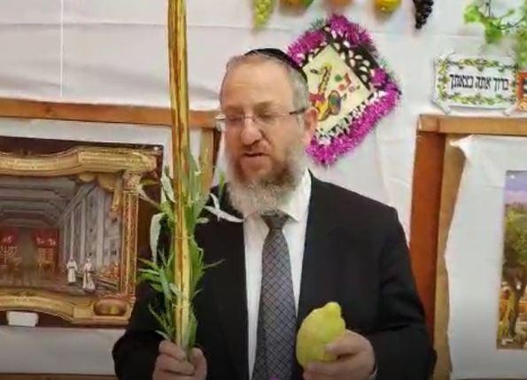 מהו סדר הנענועים בארבעת המינים? הרב ירון אשכנזי בהדגמה מוחשית