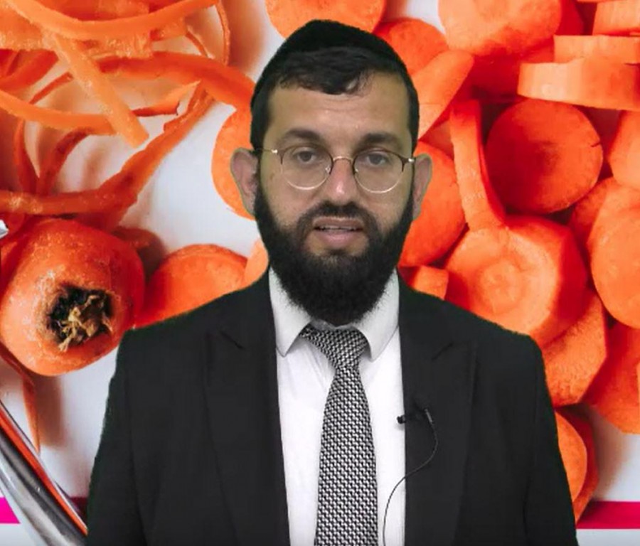האם מקלף לחיתוך ירקות צריך טבילה? הרב אושרי אזולאי
