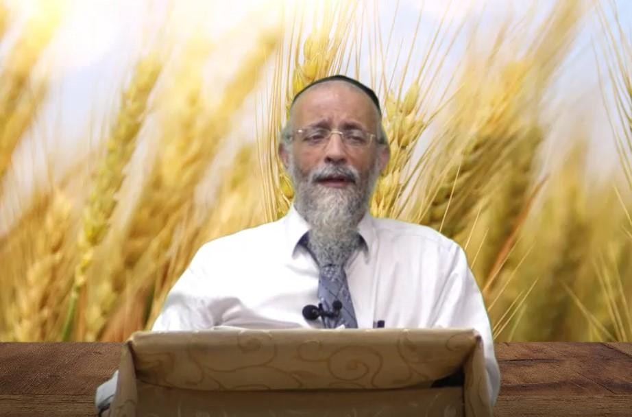 מהי מגילת רות? הרב מיכאל לסרי