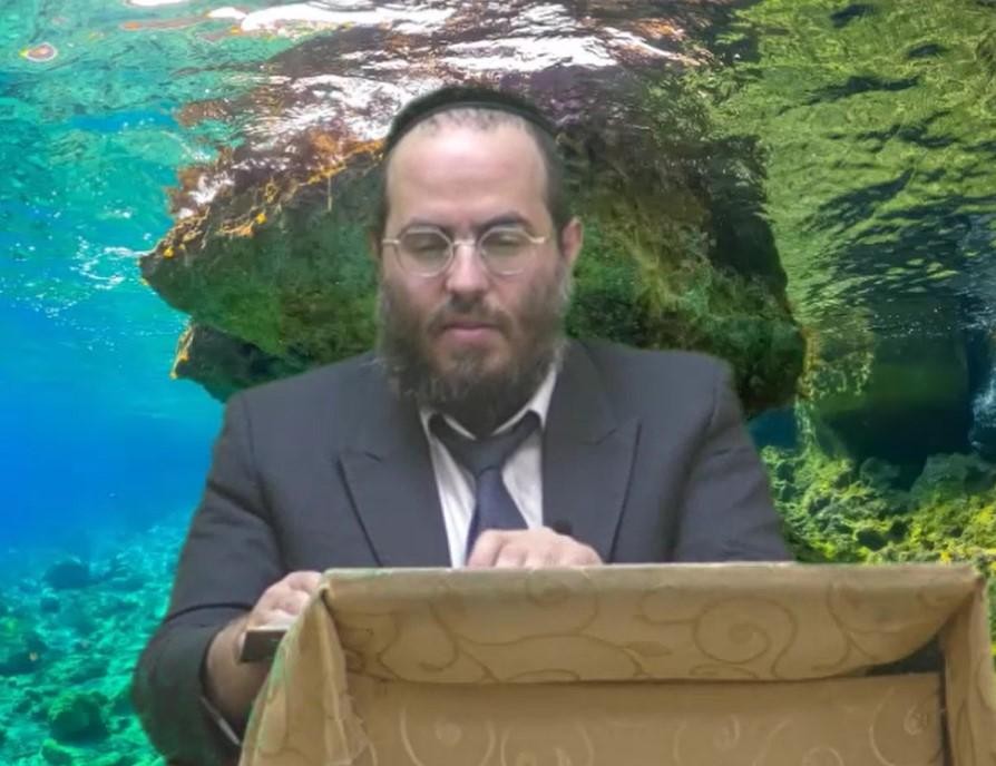 איך על ידי שקוראים את הקללות בתורה הם נהפכים לברכות? הרב שלמה ברוורמן