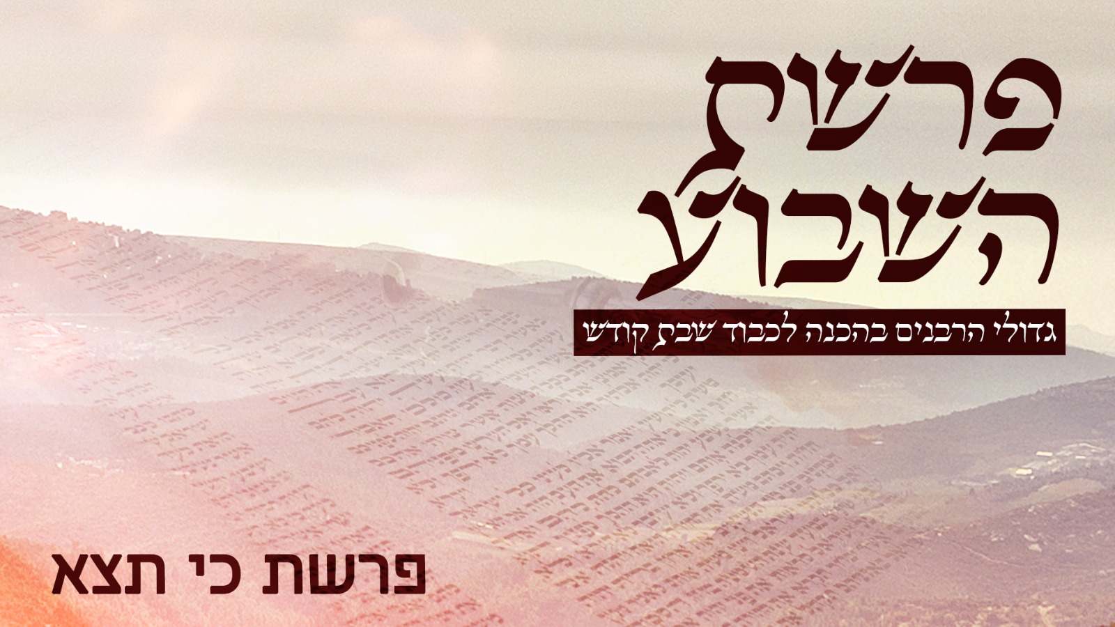 משדר הפרשה - גדולי הרבנים בחידושים על פרשת כי תצא תש"פ  