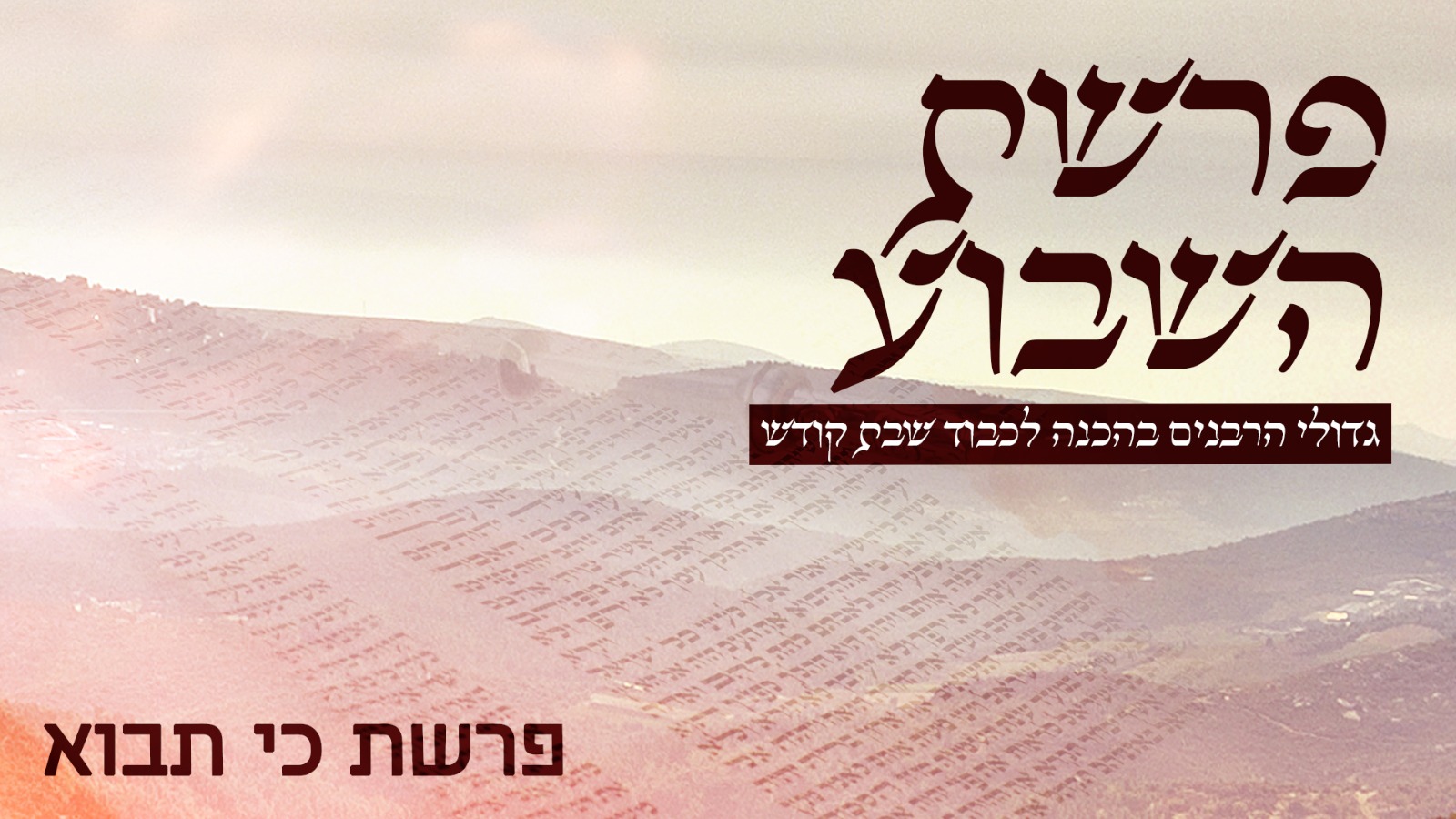 משדר הפרשה - גדולי הרבנים בחידושים על פרשת כי תבא תש"פ  