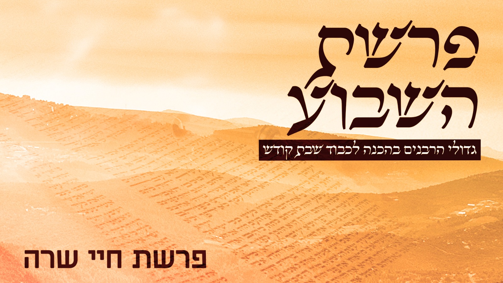 משדר הפרשה -גדולי הרבנים בחידושים על פרשת חיי שרה תשפא  
