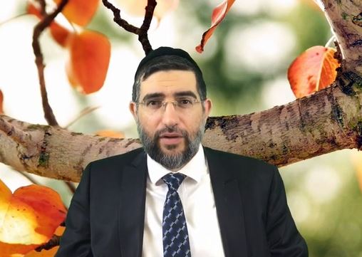 להבין את השני - "בקטנה" עם הרב אברהם בן חמו - צפיה   