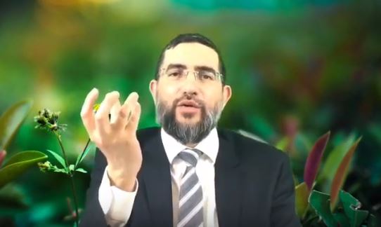 ה' נותן רק טוב - "בקטנה" עם הרב אברהם בן חמו - צפיה    