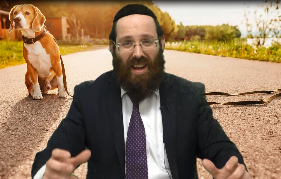 אל תהיה כלב!!! הרב יוסף שושן - צפיה   