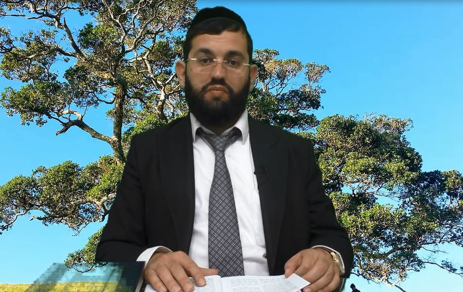 היכן כדאי לברך ברכת האילנות? קצרים עם הרב אושרי אזולאי  