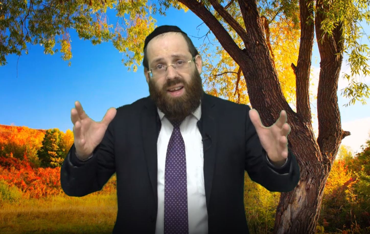 האדם עץ השדה - הרב יוסף שושן