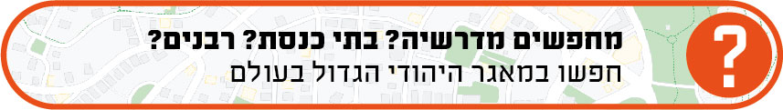 search banner