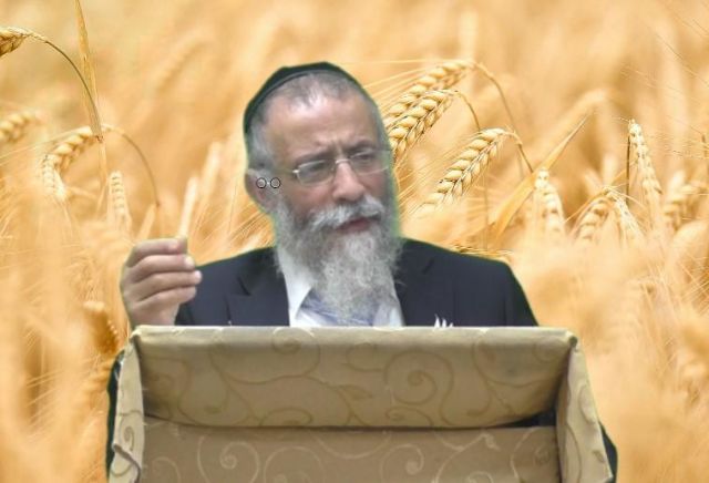 לך בתמימות עם ה' - הרב מיכאל לסרי 