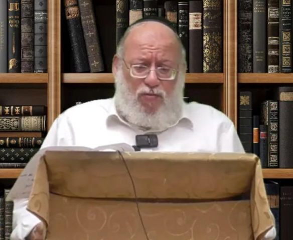 פרפראות לפרשת כי תצא תשפ"ה - הרב חזקיהו קרלנשטיין 