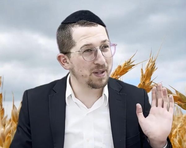 שבועות תשפ"ה - מדוע דוד מלך ישראל יצא ממעשה כמו בנות לוט הבנת שורש המלכות - הרב יוסף שכטר