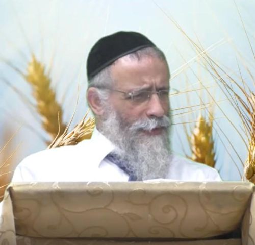 המשך מגילת רות - הרב מיכאל לסרי 