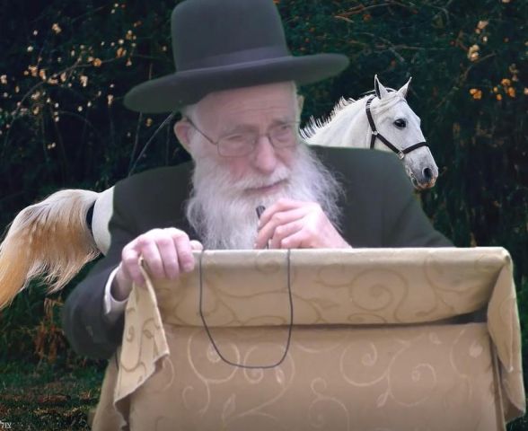 סיפור המגילה - הרב יהודה יוספי 