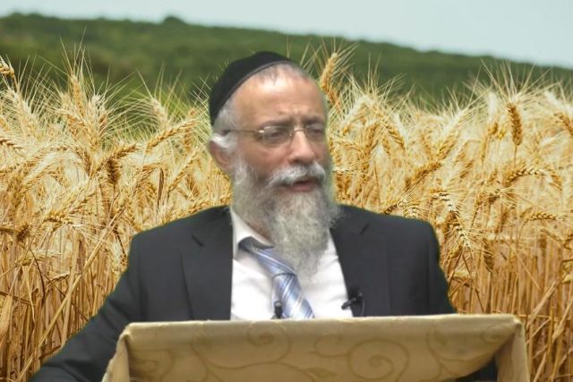 מה רוצים מאיתנו בספירת העומר - הרב מיכאל לסרי 