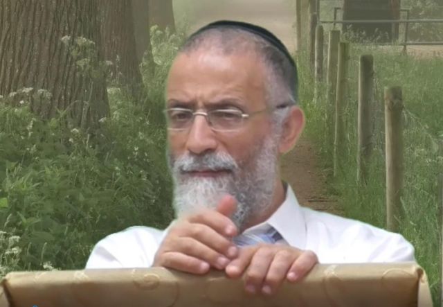 פרשת שלח לך - הרב מיכאל לסרי 