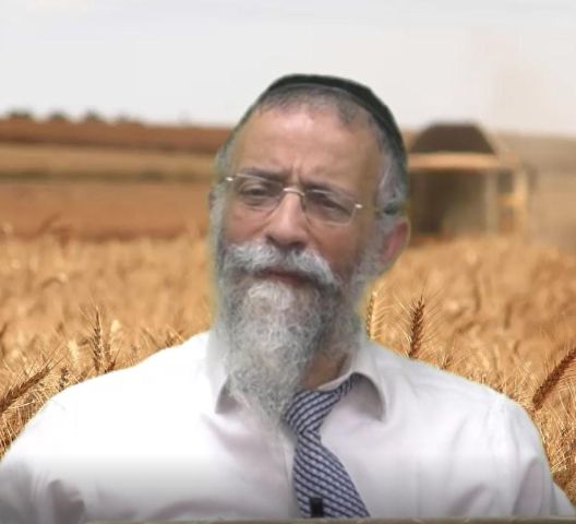 ביאור מגילת רות - הרב מיכאל לסרי 