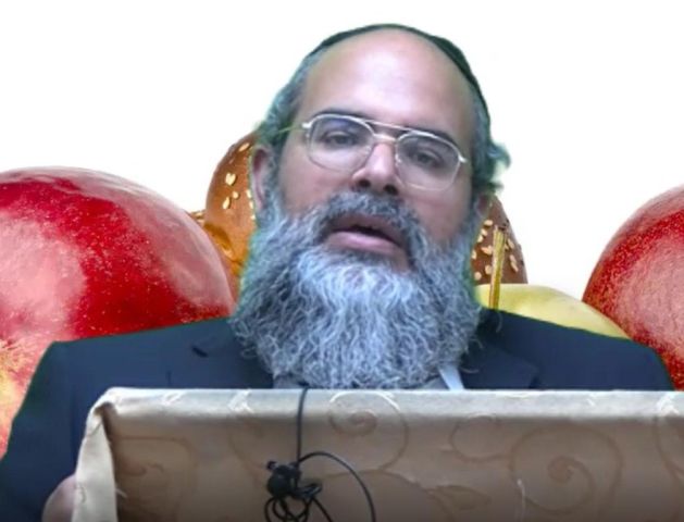 הלכות סימני ראש השנה - הרב אליהו אסולין
