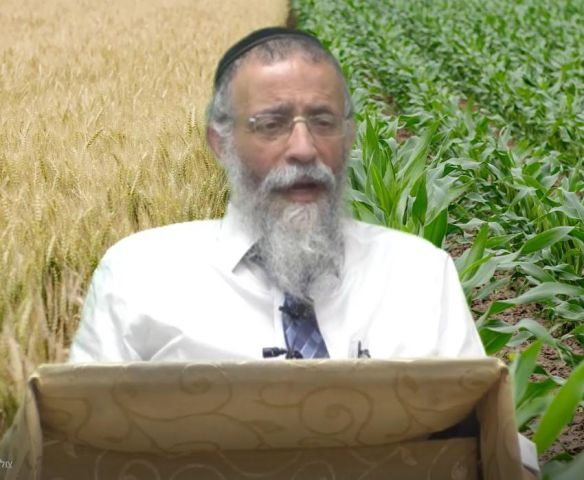 מגילת רות - הרב מיכאל לסרי