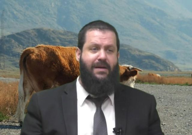 פרה אדומה הדוגמא המובהקת להקדמת נעשה לנשמע - הרב גדליה הופנונג