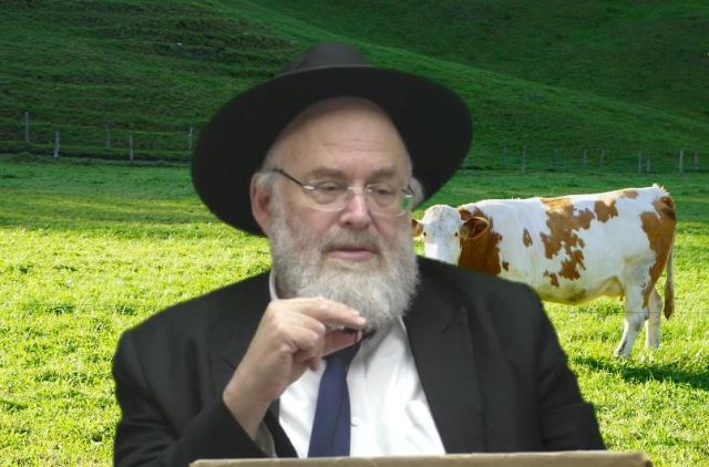 פרשת שמיני תשפ"ה - האדם הוא צירוף של מלאך ובהמה - הרב מנחם שטיין