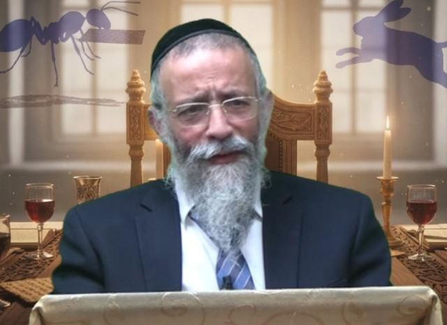 סודות ליל הסדר: איך הופכים מבהמה לאדם? שיעור חובה לפסח | הרב מיכאל לסרי