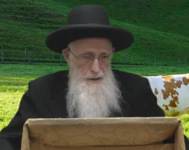 פרשת חוקת תשפ"ה - הרב יהודה יוספי
