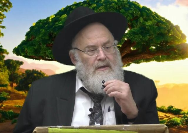 חשיבות הברכות! הרב מנחם שטיין
