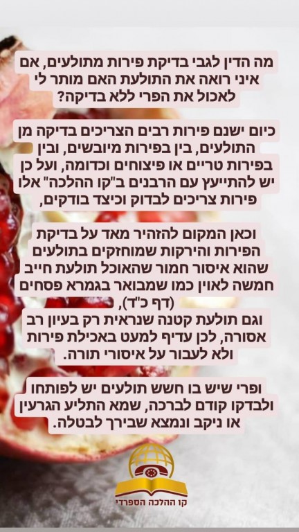 מה הדין בבדיקת פירות מתולעים אם איני רואה את התולעת?