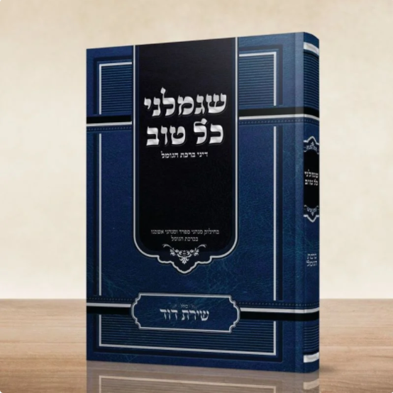 דוגמא_-_שגמלני_כל_טוב.png